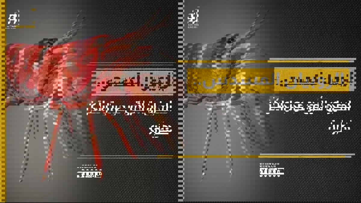 الروبيان المسدس.. ما لا تعرفه عن المخلوق الأقوى صوتاً والأكثر خطورة