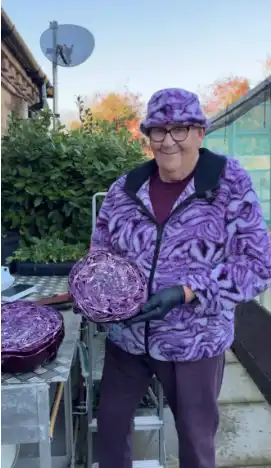 من إعلانات الملفوف