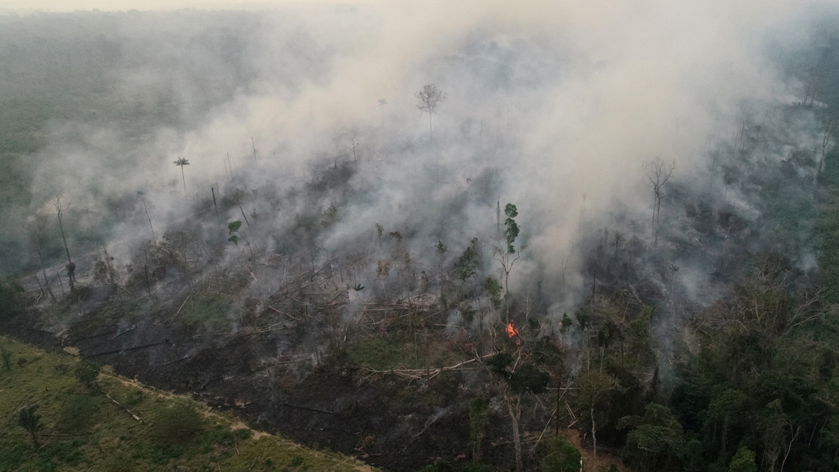 البرازيل ترحب بالمساعدات لإخماد حرائق الأمازون