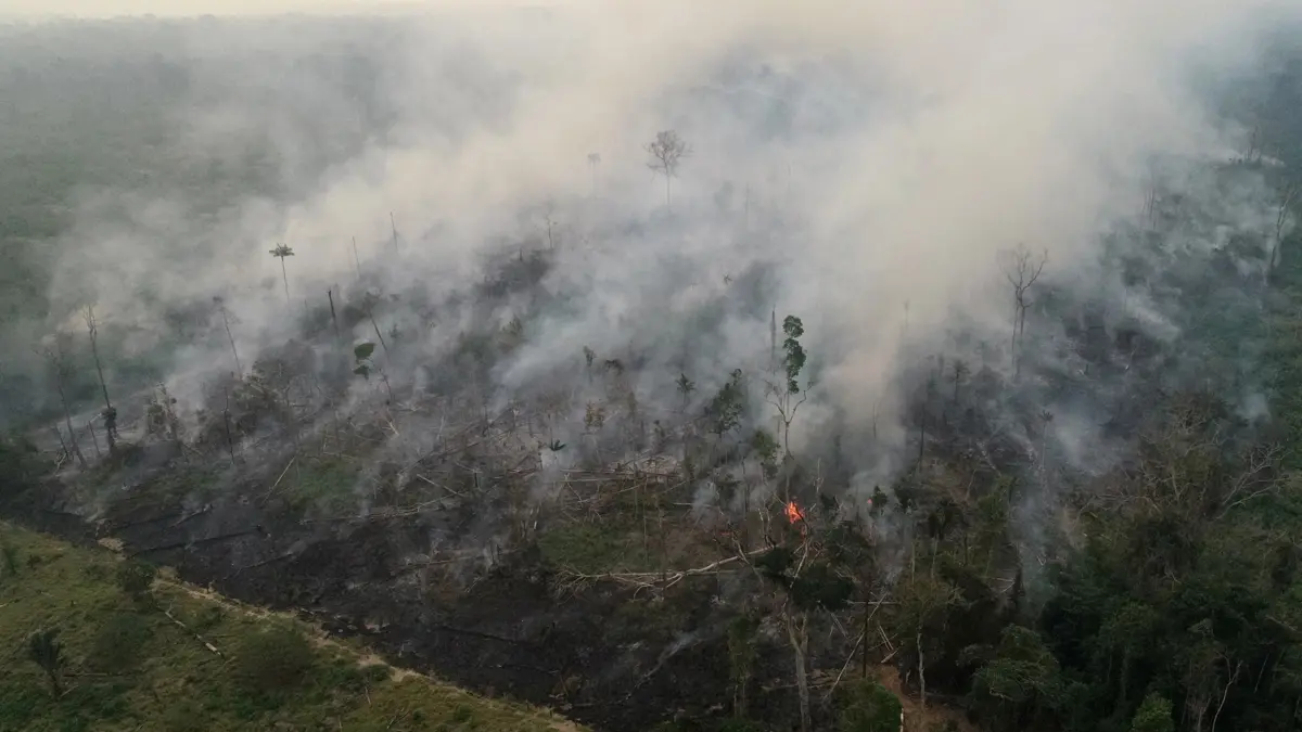 البرازيل ترحب بالمساعدات لإخماد حرائق الأمازون