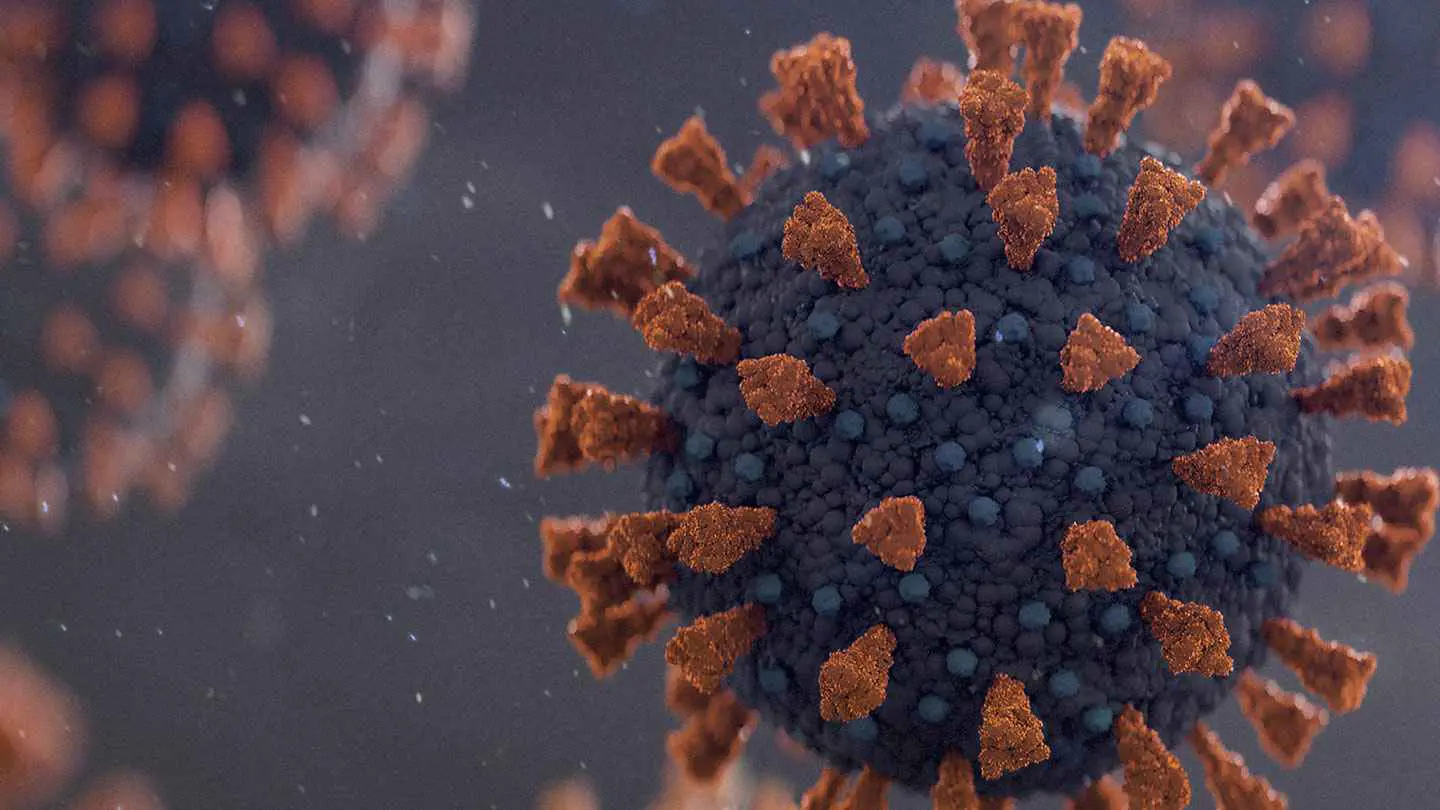 "جائحة قريبة".. خبراء يحذرون من فيروس جديد