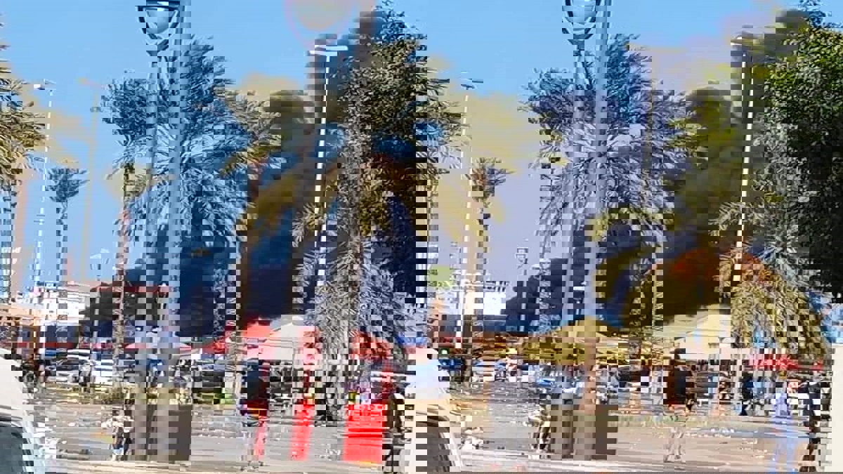 الجيش الليبي يعلن استهداف سفينة تركية تحمل معدات عسكرية في ميناء طرابلس (فيديو)