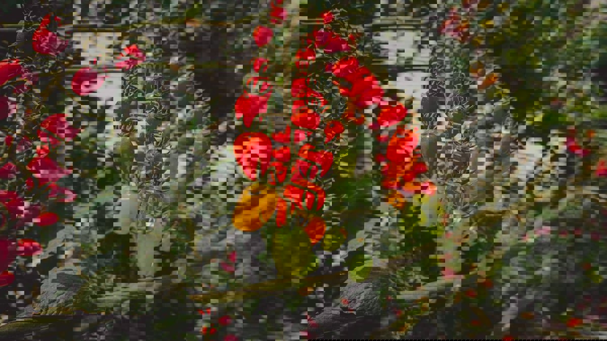 السعودية.. إقبال على التقنيات الحديثة في الزراعة وتربية المواشي والصيد 