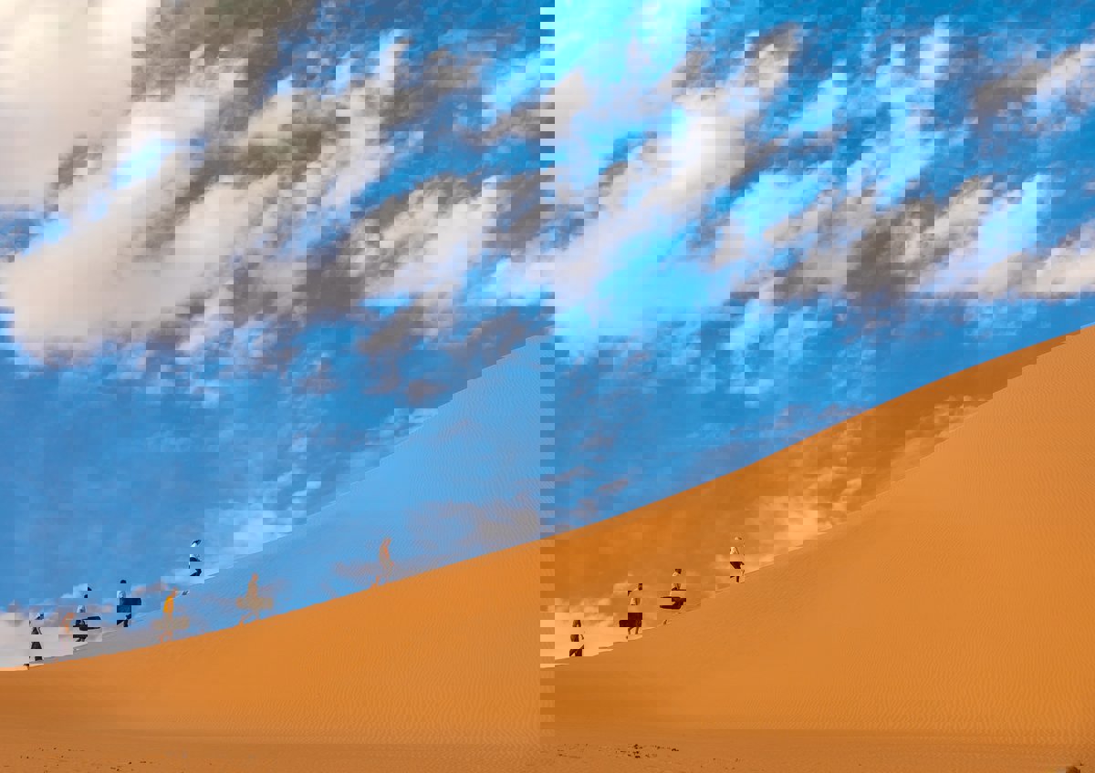 العثور على شاب إماراتي حيًا بعد اختفائه في الربع الخالي