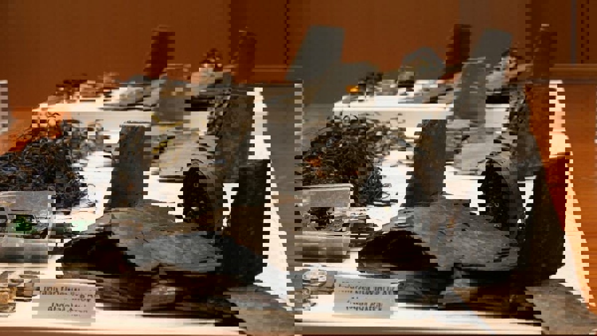 البنتاغون: ضبط شحنة أسلحة مطابقة للمستخدمة في الهجوم على "أرامكو" السعودية