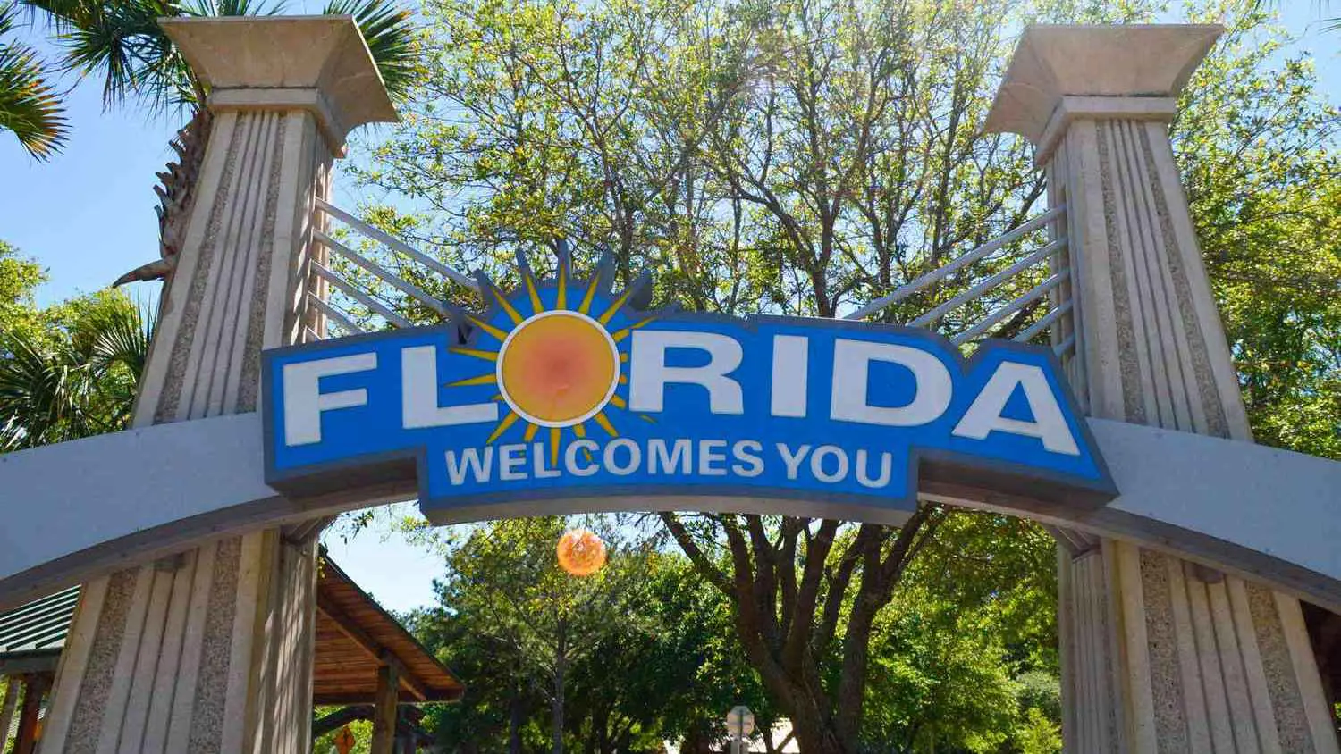 ماذا حدث في فلوريدا؟.. قلق في معسكر الديمقراطيين وهاريس تعلق