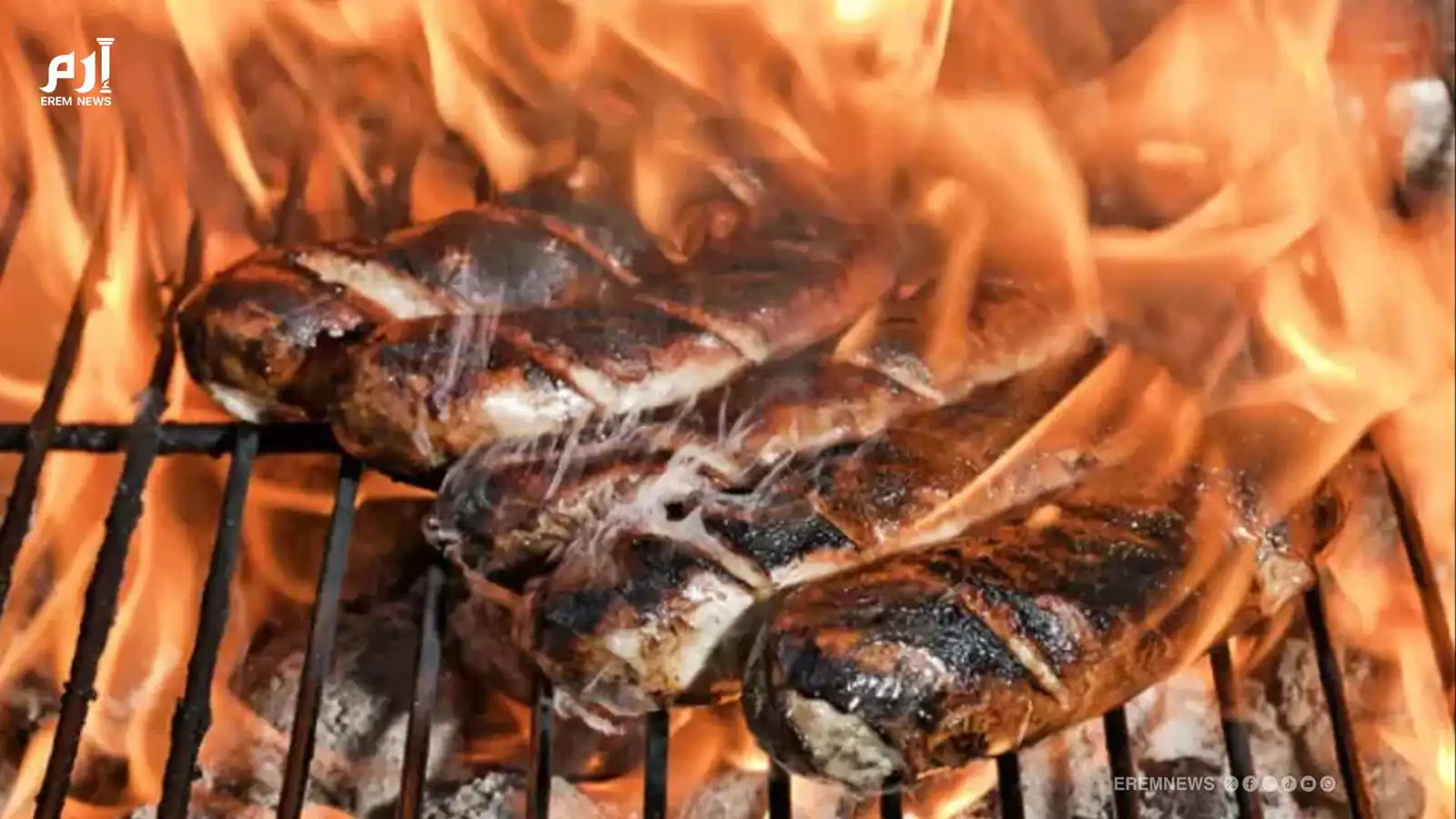 مطعم كباب مصري يثير الغضب في إسرائيل بإعلان "صادم"