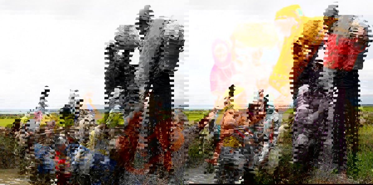 أمريكا: تعامل ميانمار مع الروهينجا يحمل كل بصمات التطهير العرقي