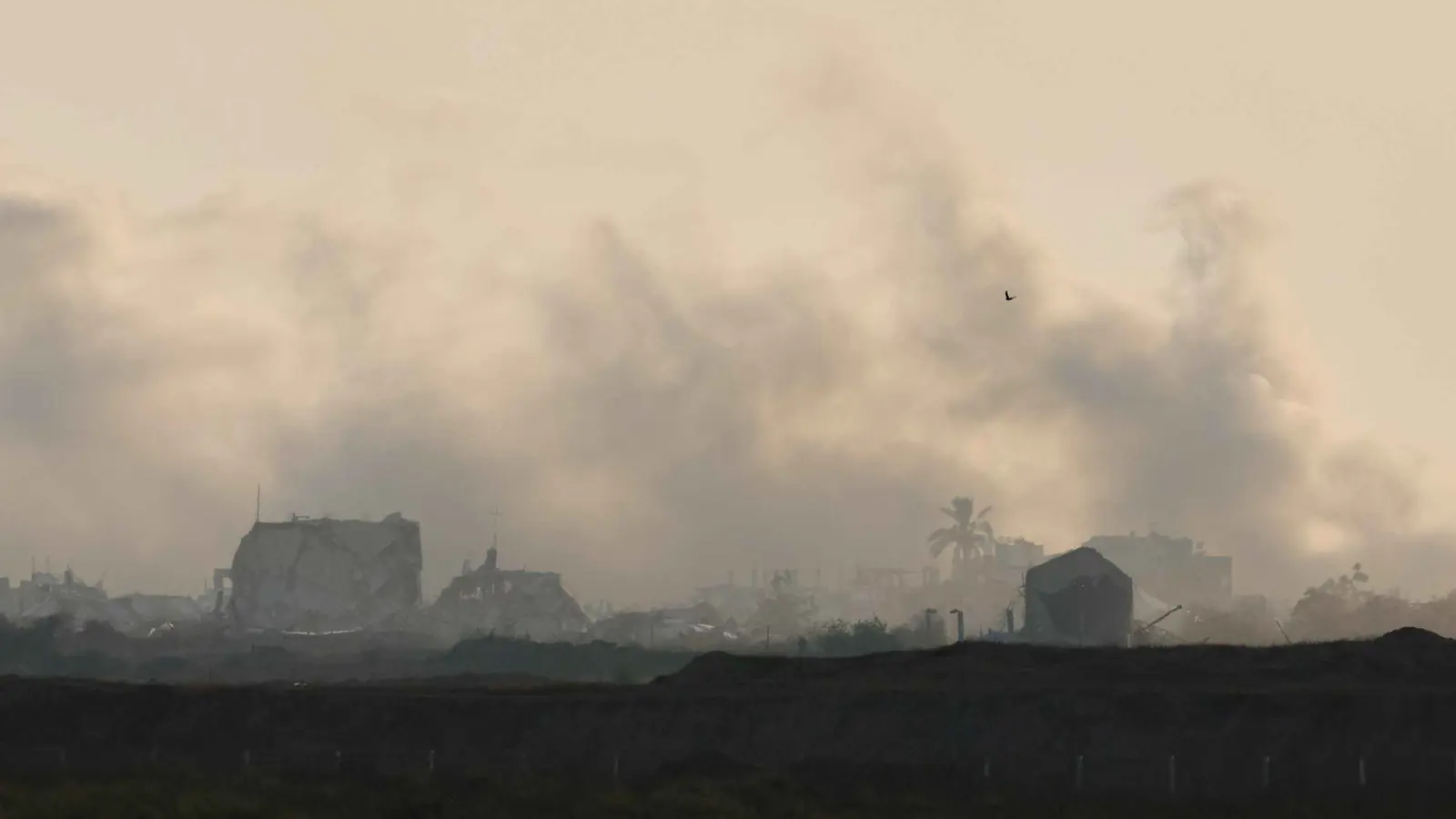 قصف إسرائيلي على خيام للنازحين في خان يونس يقتل 7 أشخاص (فيديو)