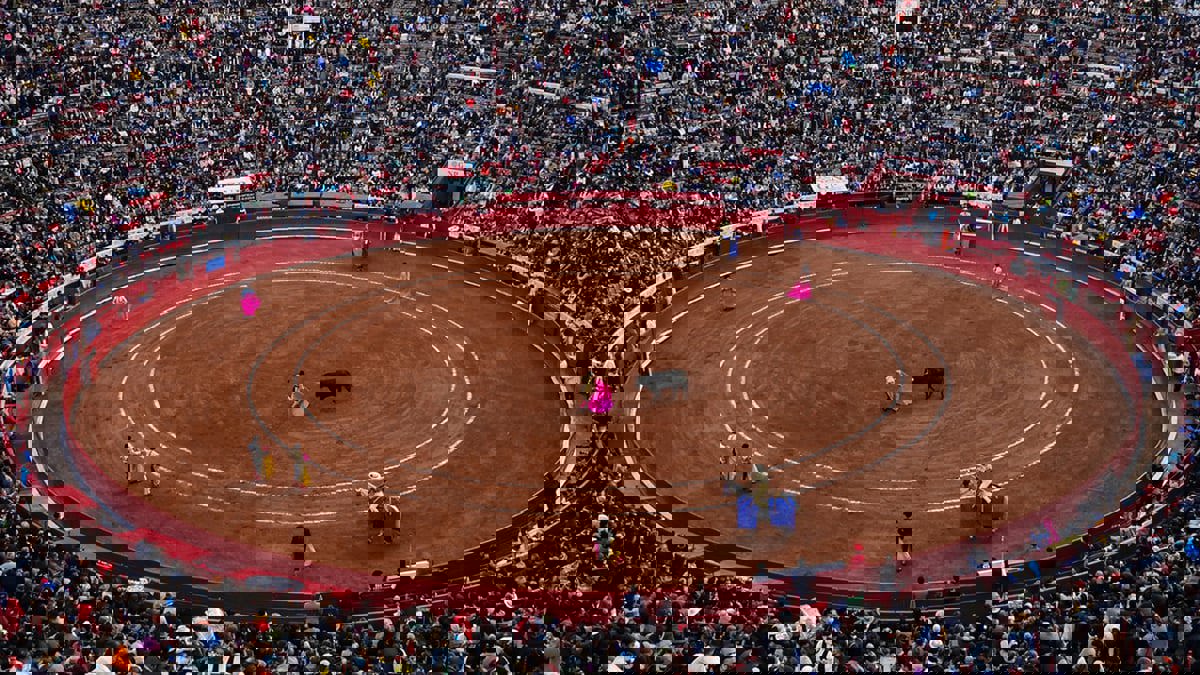 المكسيك.. قرار بحظر مصارعة الثيران مؤقتاً يثير جدلا واسعا