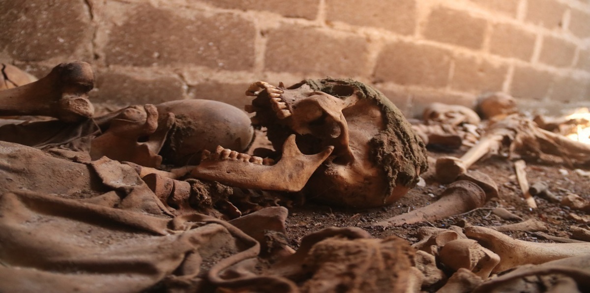 دماغ الإنسان القديم يختلف في الشكل عن دماغه الحديث (صور)