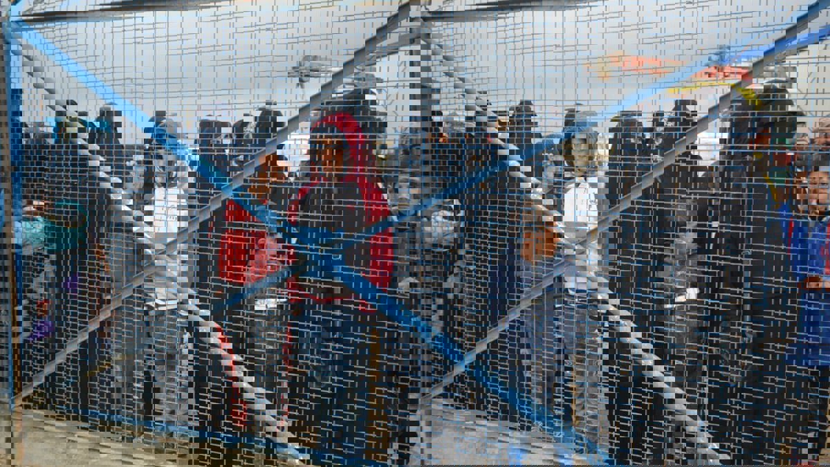 في مخيم الهول.. رشاوى لداعش ومتشددات يُكرهن مراهقين على الجنس