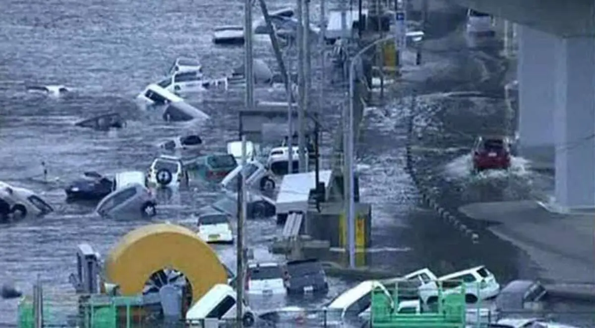 تسونامي.. ودروس الكارثة