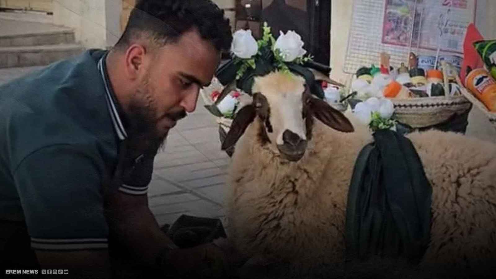 خروف بمكياج وطلاء أظافر يثير جدلاً في ليبيا.. ما القصة؟ (فيديو إرم)