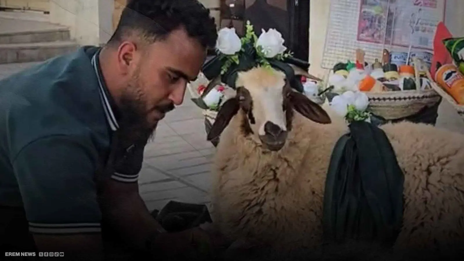 خروف بمكياج وطلاء أظافر يثير جدلاً في ليبيا.. ما القصة؟ (فيديو إرم)