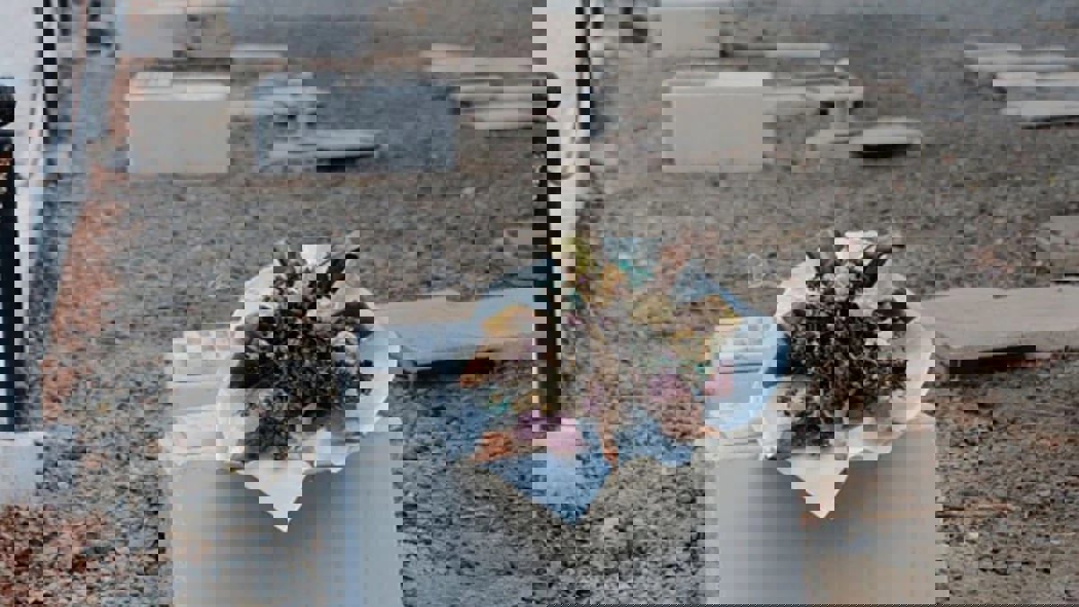 "منشور وداعي" مؤثر لمغرد سعودي يثير حزن متابعين