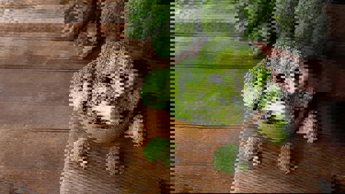 تعرف على فوائد القرنبيط والبروكلي والملفوف لصحتك‎