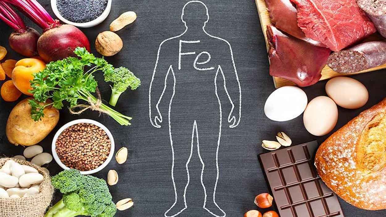 الحديد الحيواني أم النباتي.. أيهما تفضل أمعاؤك؟