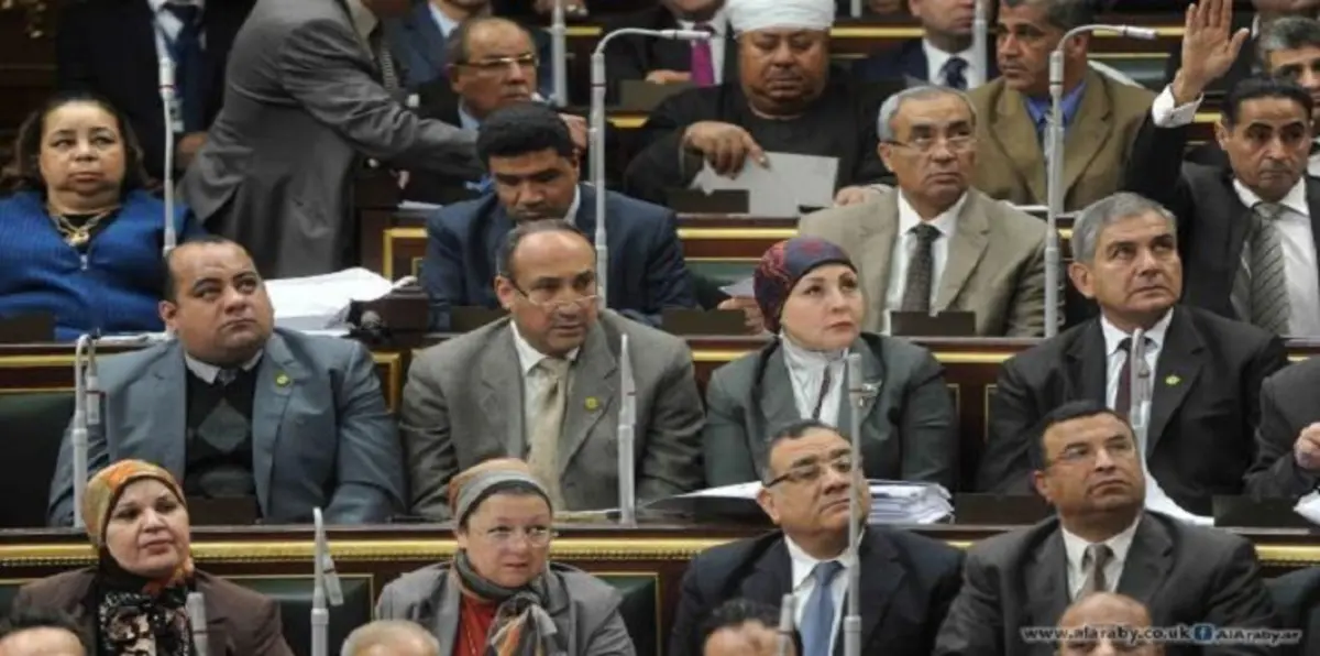 ما هي الأخطاء التي وقع فيها البرلمان المصري؟