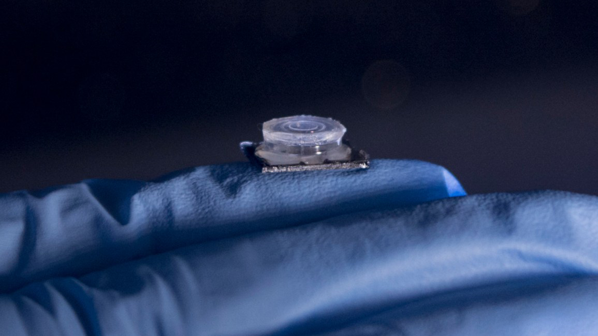 تطوير "رقاقة" بحجم "ظفر الإصبع" للكشف عن الفيروسات بدقائق