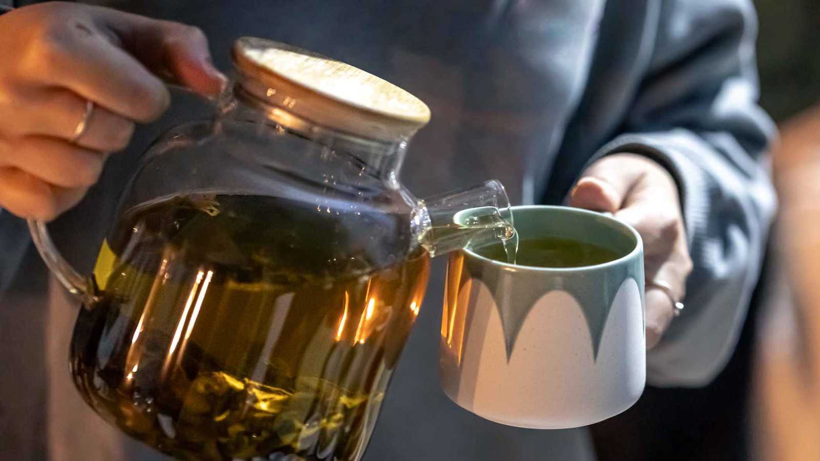 هل تعاني من الانتفاخ؟.. هذه الأعشاب قد تكون الحل