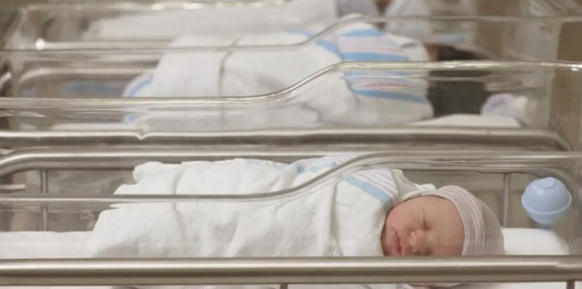 "محمد".. ثالث أكثر الأسماء انتشارًا بين مواليد فيينا في 2017