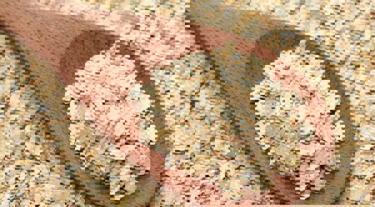 دراسة: تناول الحبوب الكاملة يقلل حالات الوفاة