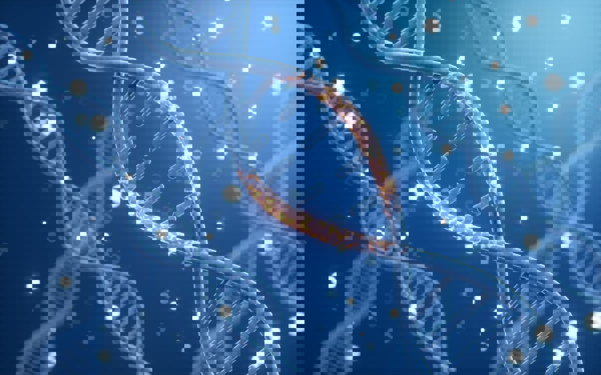 دراسة تكشف آليات الحمض النووي في الأمراض الوراثية النادرة