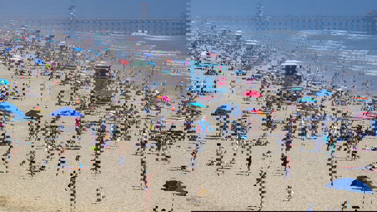 حشرات بحرية صغيرة تهاجم رواد شواطئ كاليفورنيا الأمريكية