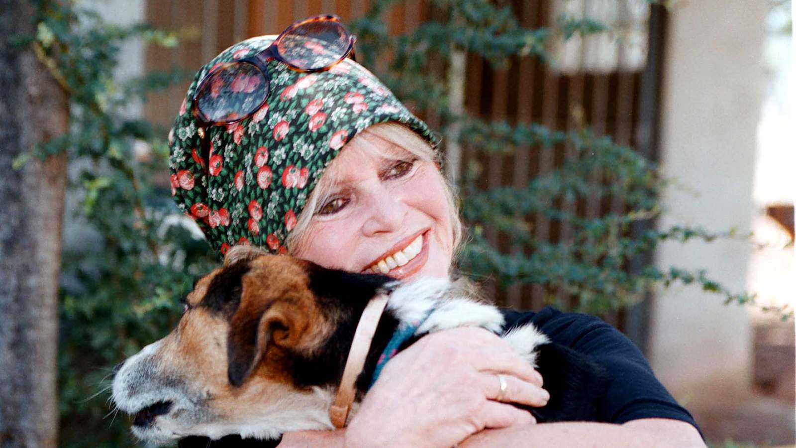 بريجيت باردو.. من الوريث الوحيد لثروتها الهائلة؟