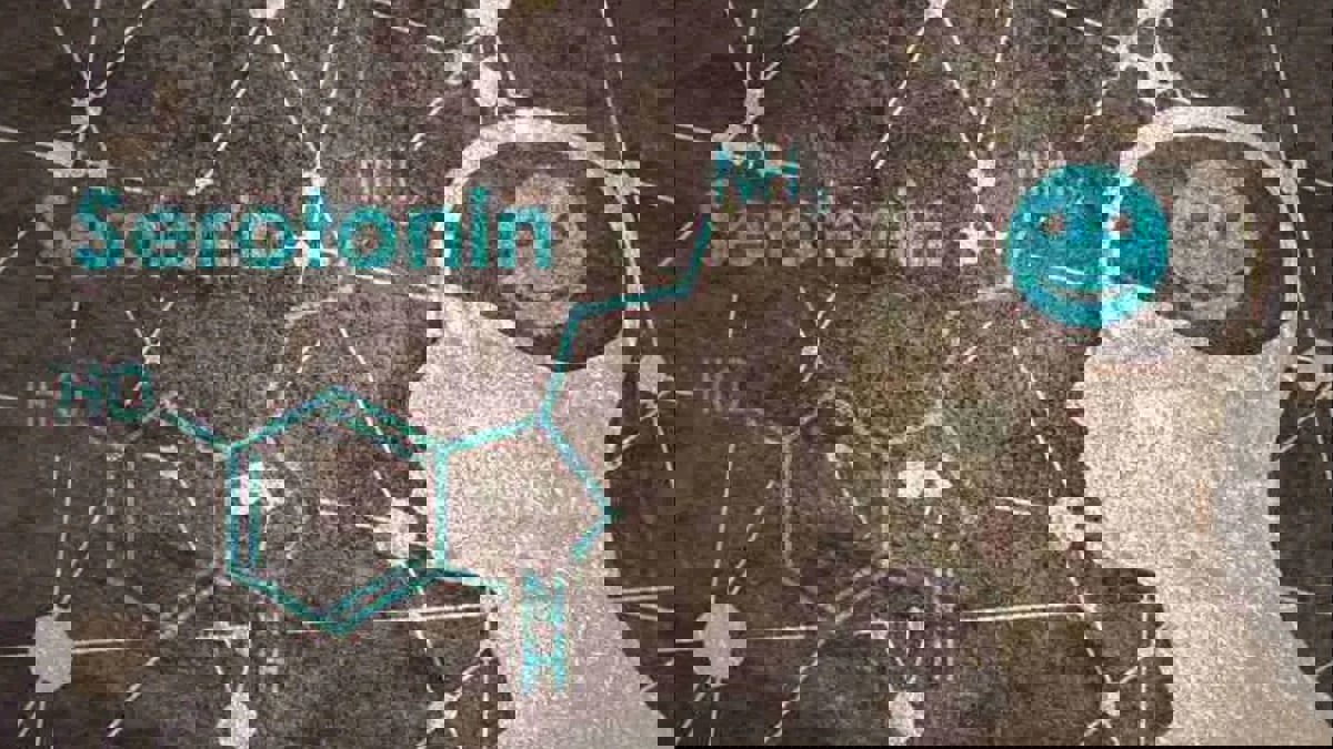  آخر الدراسات حول "هرمون السعادة" السيروتونين 