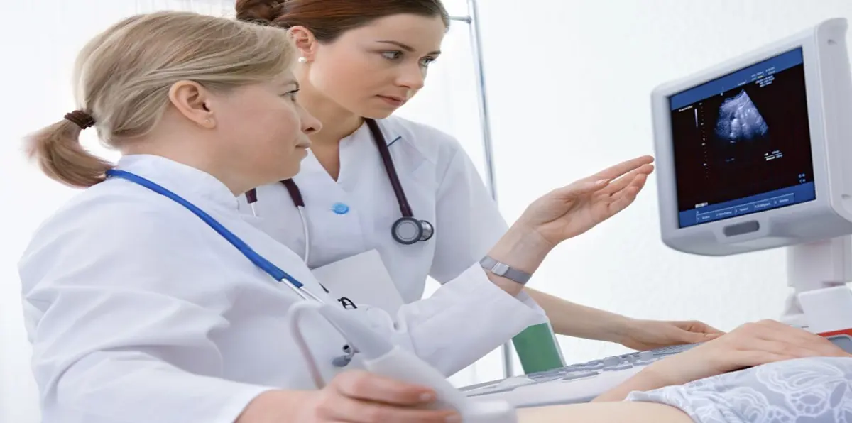 الأغذية عالية الدهون خلال الحمل تزيد فرص إصابة المواليد بسرطان الثدي