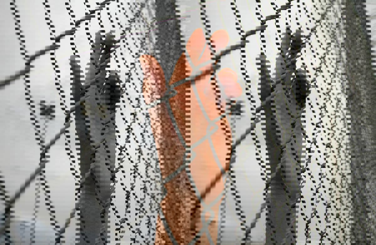 أمريكا.. نحو 21 ألف طفل في نورث كارولينا لديهم أحد الوالدين بالسجن