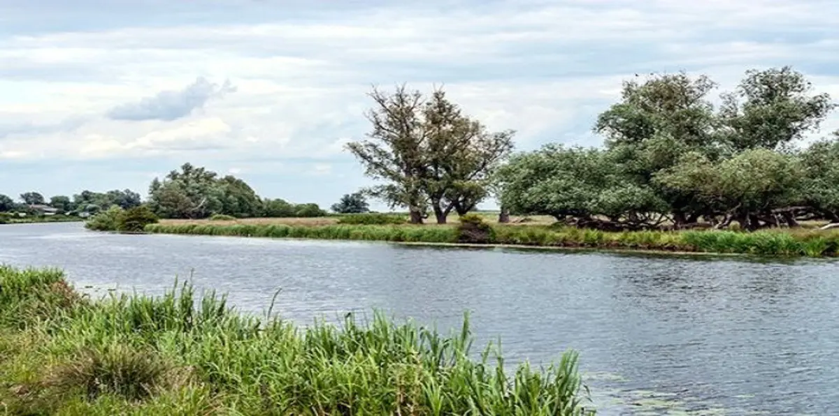 سمكة مصاص الدماء ترعب البريطانيين (صور)