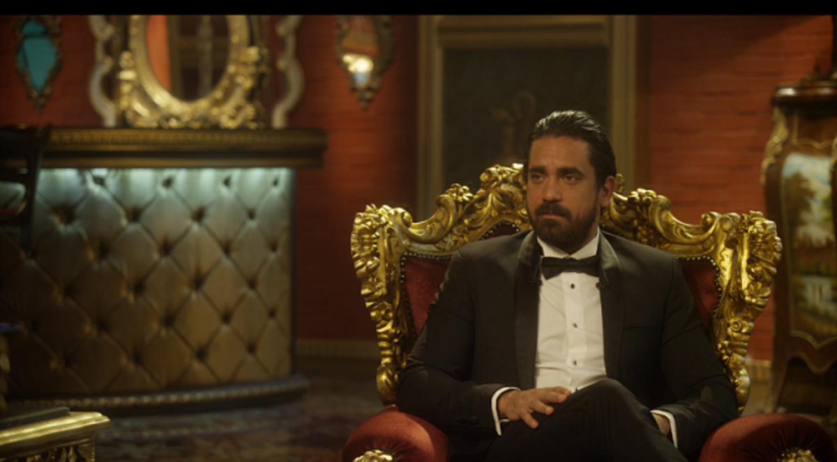 أمير كرارة يعود لتقديم البرامج مع "جنس ناعم"