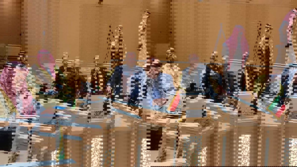 وزير الخارجية السعودي: التنسيق الخليجي المصري عنصر أساس لاستقرار المنطقة