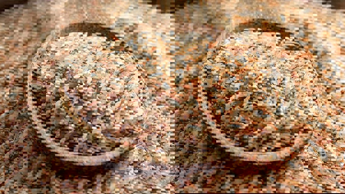 آثار جانبية غير متوقعة لتناول الأرز البني