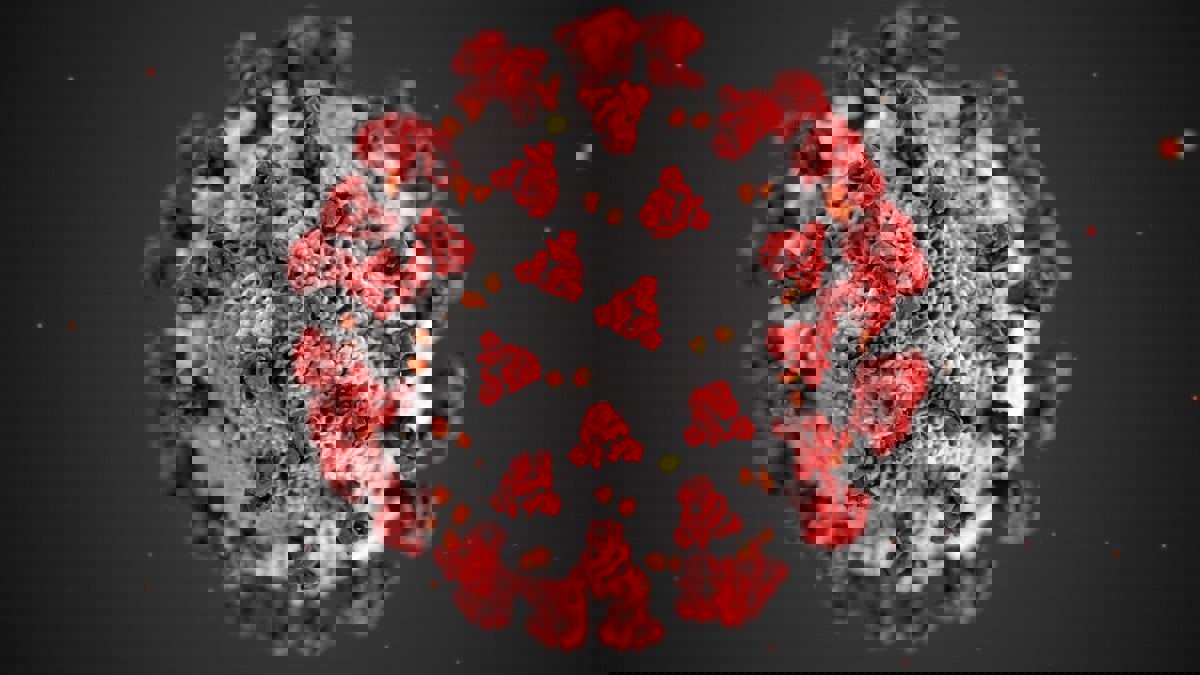 للمرة الأولى.. العثور على نسختين من كورونا قبل ظهوره في الصين بسنوات