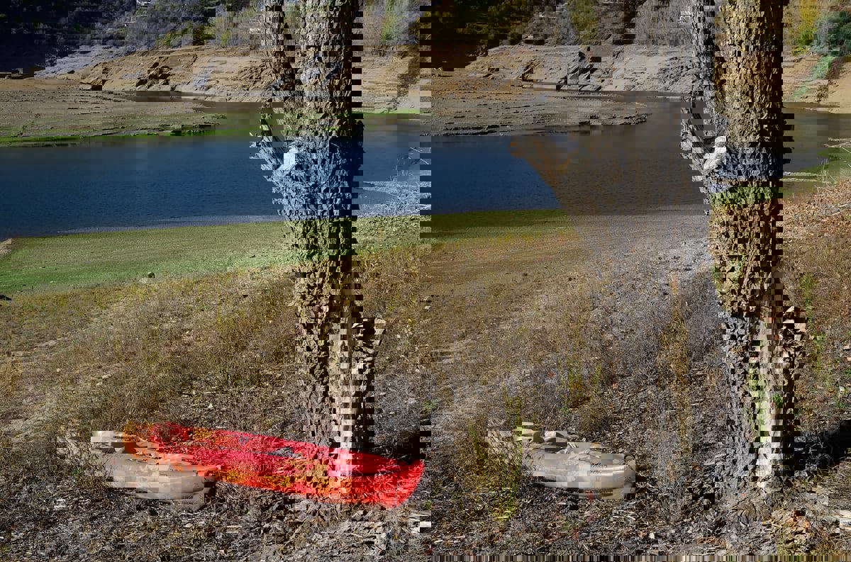 الجفاف في كتالونيا يسبب خسائر كبيرة لقطاع الزراعة