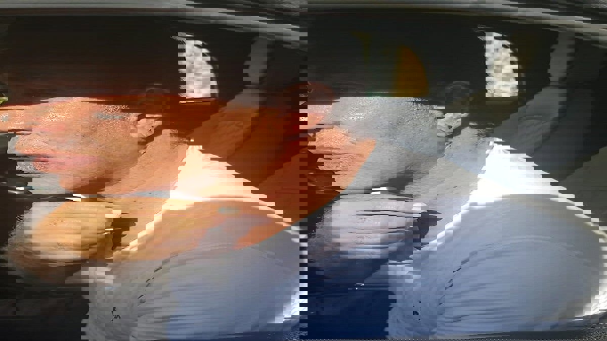 الاعتداء على أيمن يونس رئيس لجنة الكرة بالزمالك (صور)‎