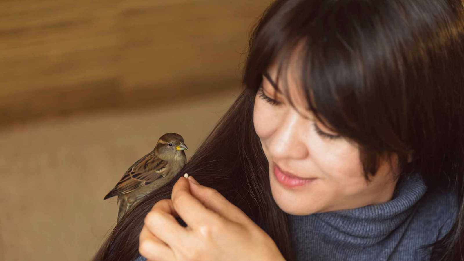 تغريد العصافير.. علاج نفسي لا يتطلّب مغادرة المنزل