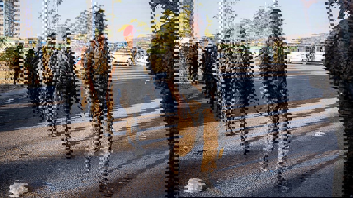 إعلان متمردي تيغراي استئناف المعارك في عفار يثير قلق واشنطن