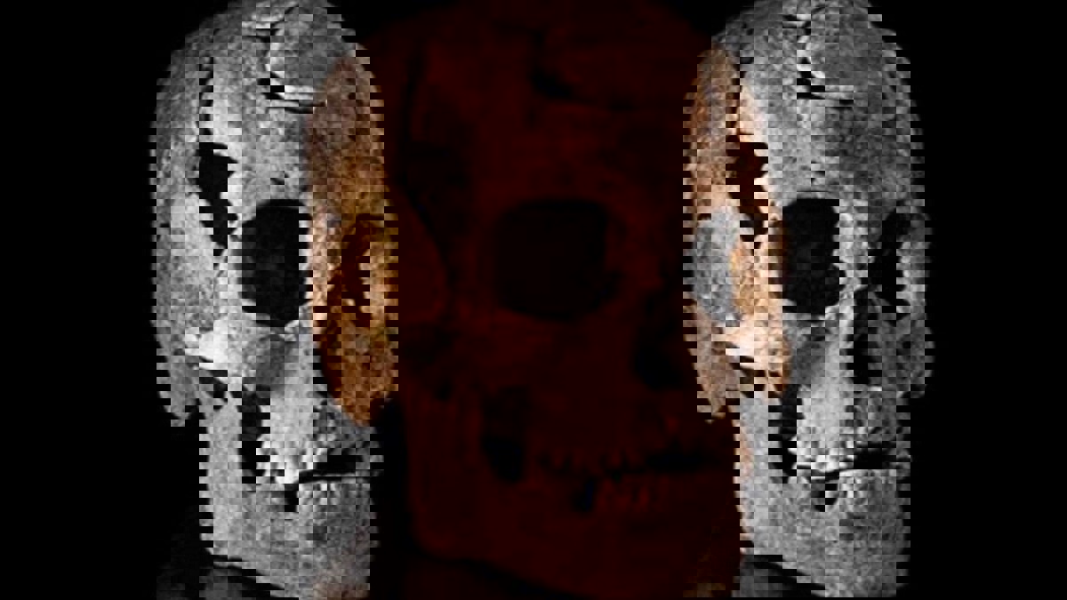 دراسة على جماجم القدماء: الجنس البشري بالكامل يعود إلى أفريقيا (صور)