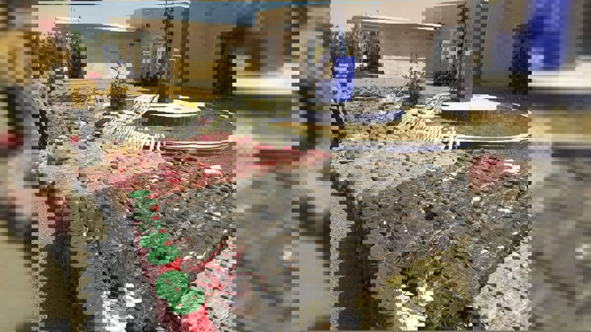 ضبط قارب يمني محمل بالأسلحة والمتفجرات‎‎ في المياه الإقليمية للسودان