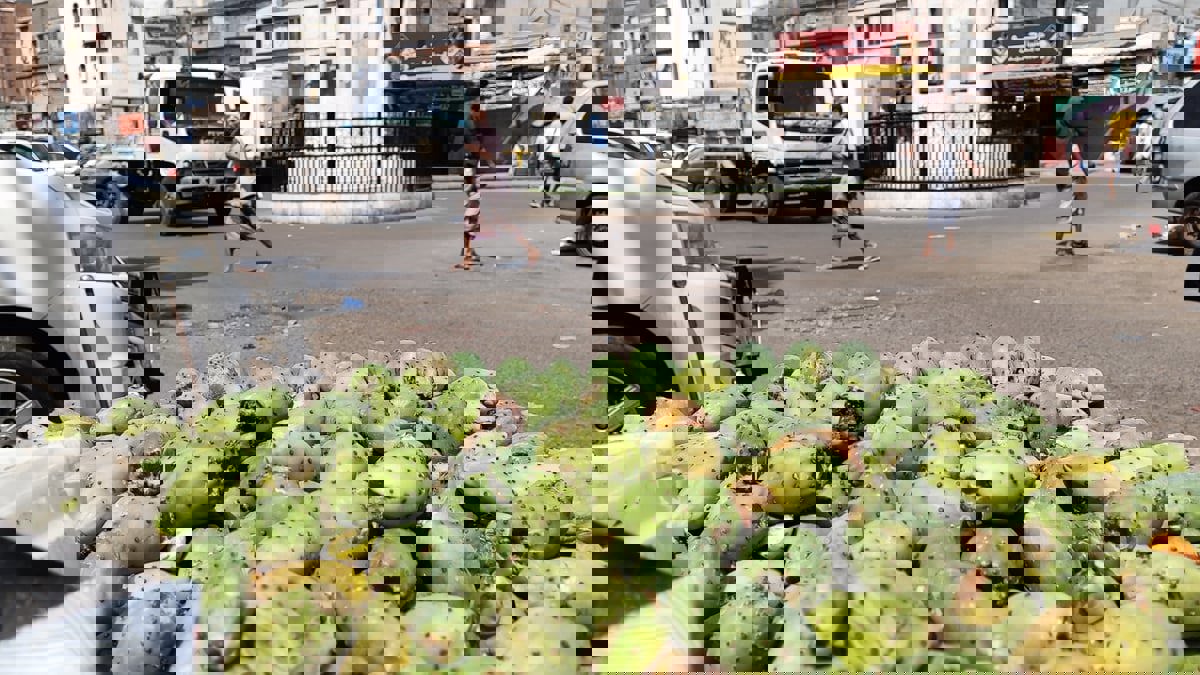 فاكهة التين الشوكي تغزو أسواق عدن