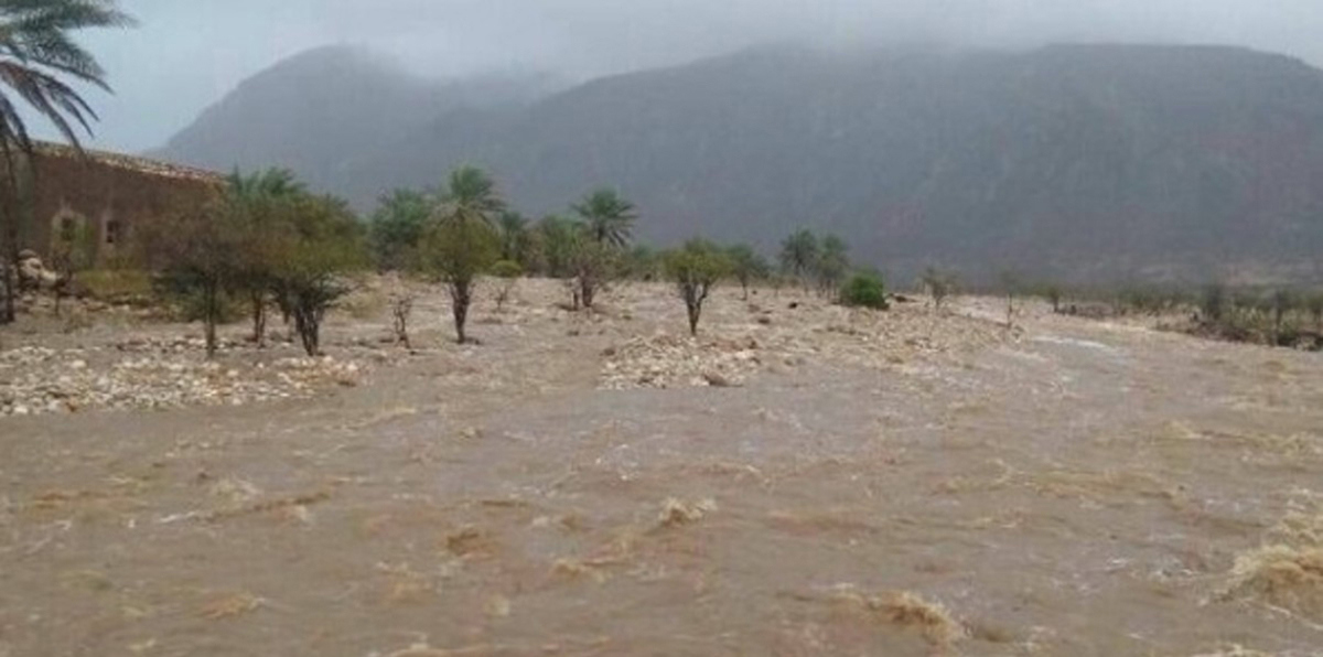 اليمن.. العثور على 7 جثث و4 أحياء بعد فقدانهم في سقطرى جراء إعصار "مكونو"