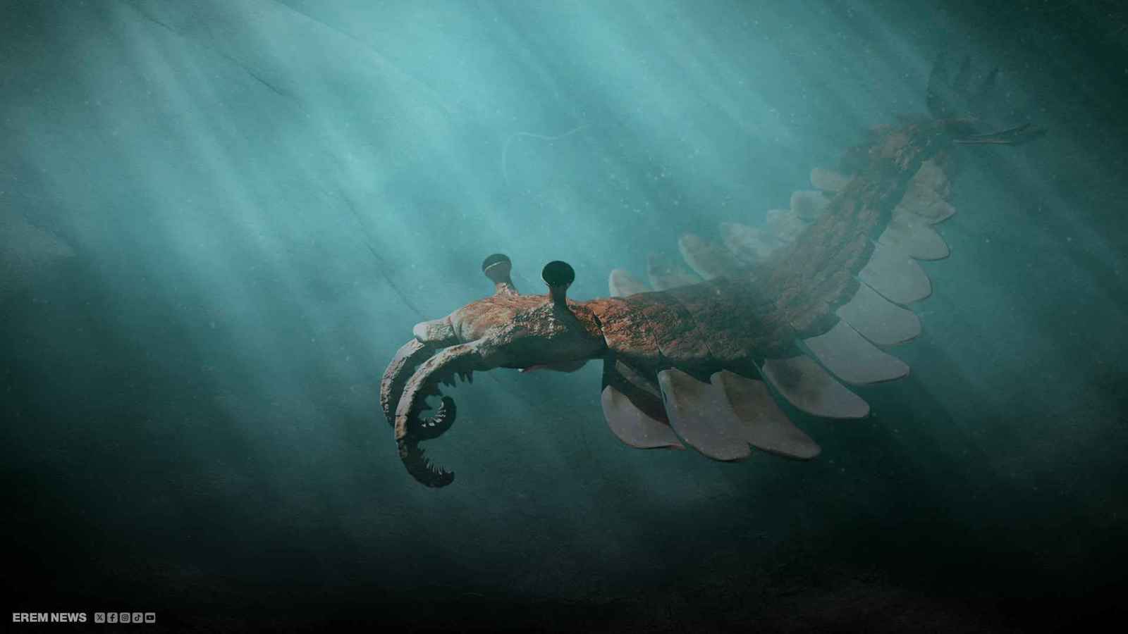 كائن يحير العلماء.. لا شبيه له على وجه الأرض (فيديو إرم)