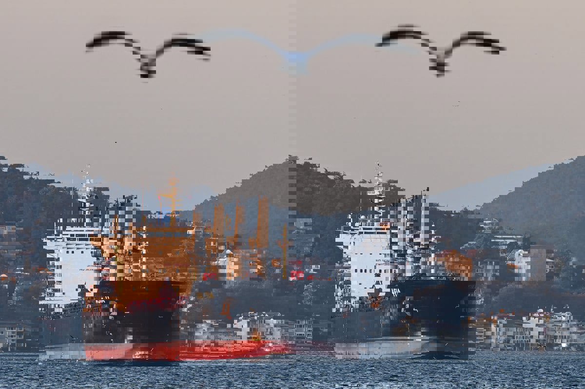 وزير أوكراني: أردوغان الوحيد القادر على إحياء اتفاقية الحبوب