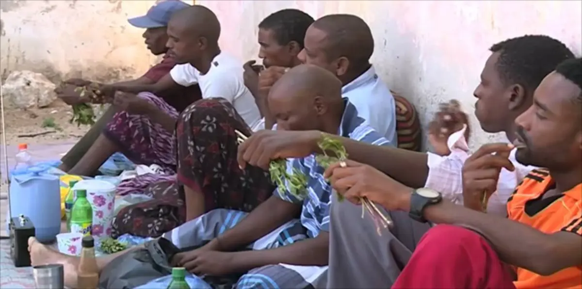 متعاطو "القات" في إثيوبيا.. "خزّن" وتعبّد في رمضان