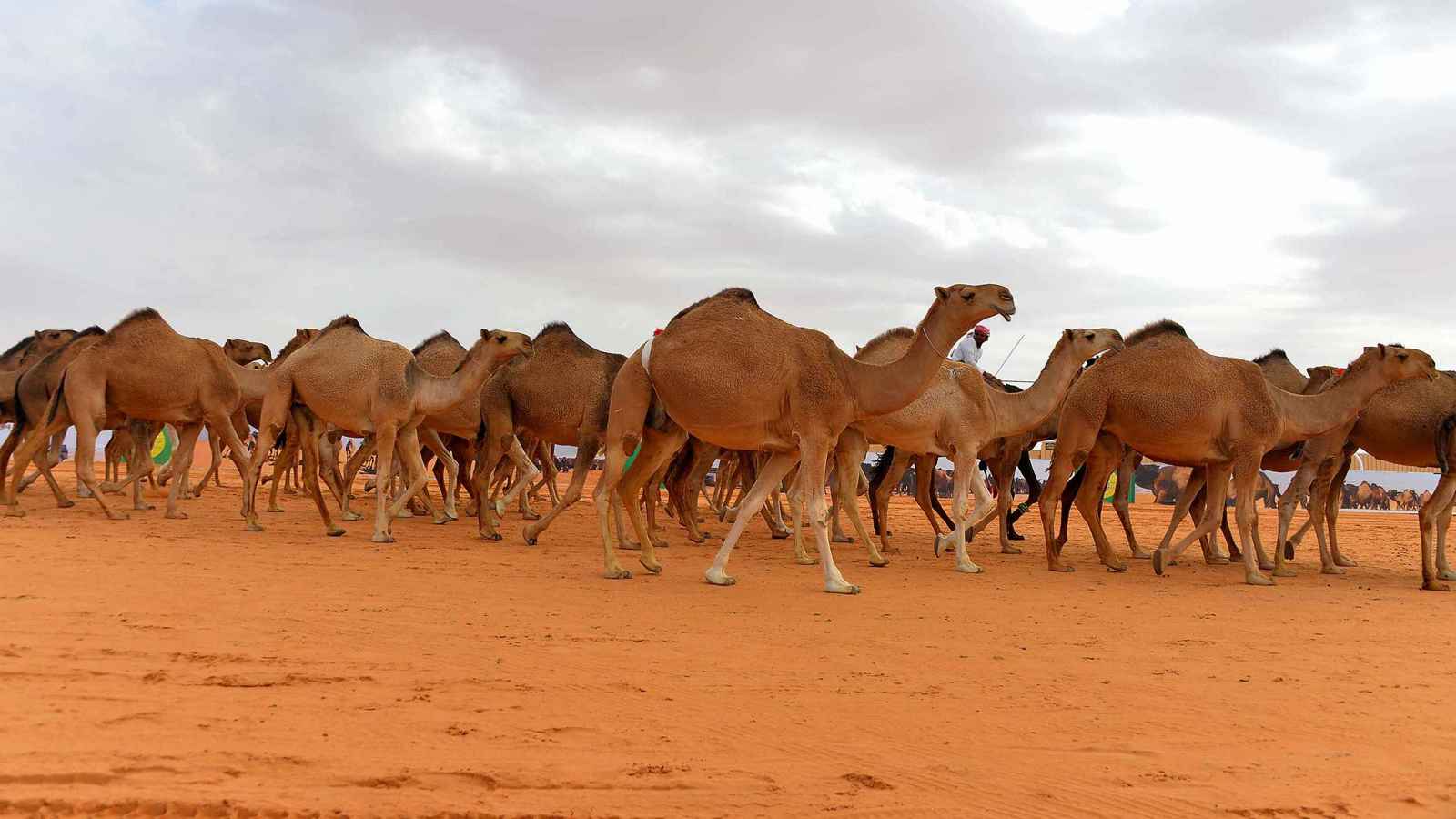 ديّة غير تقليدية.. ماذا طلبت عائلة عراقية من قاتل ابنها؟